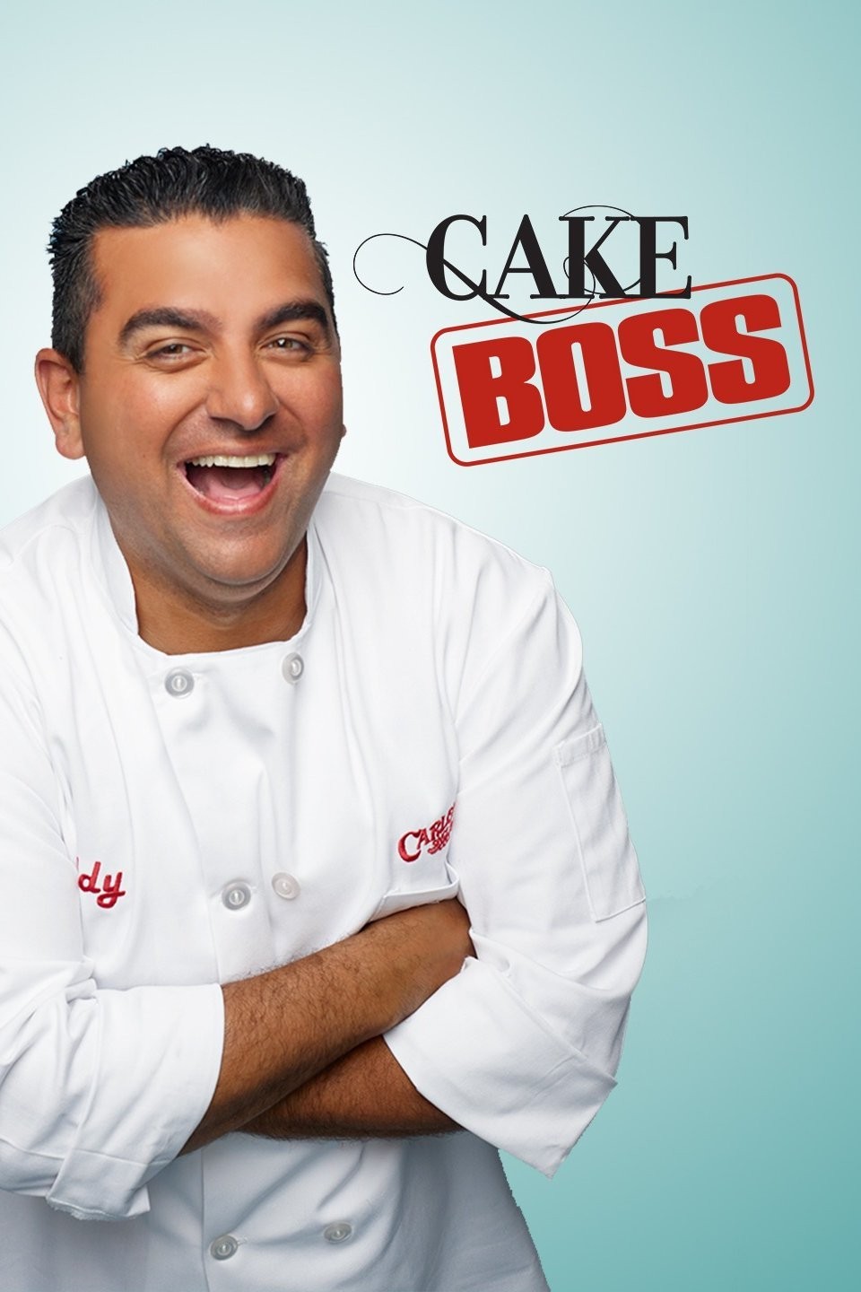 CAKE BOSS SEASONS 2 AND 3 - cds / dvds / vhs - by owner - electronics media  sale - craigslist